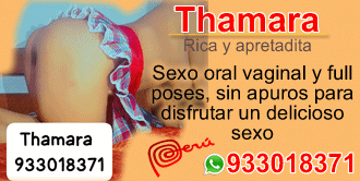cybernenas thamara arequipa 